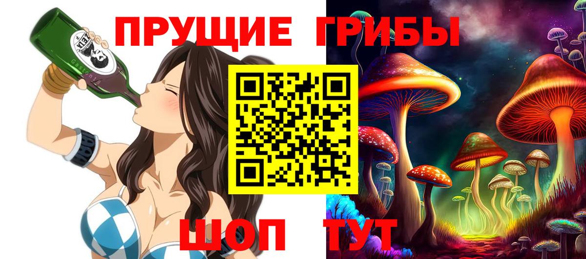 Галлюциногенные грибы Psilocybe Ивантеевка