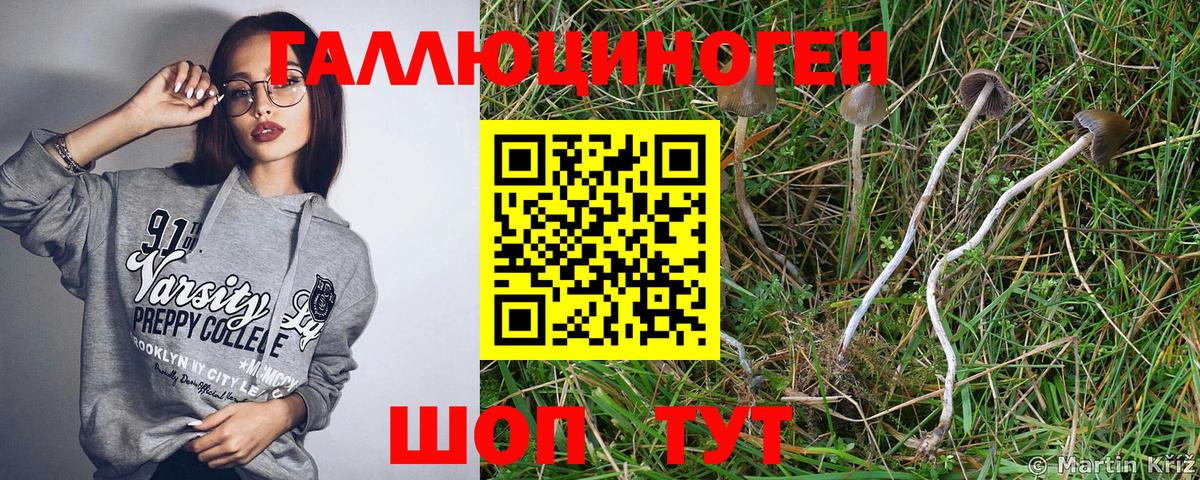 Галлюциногенные грибы MAGIC MUSHROOMS  Вход с VPN  Псилоцибиновые грибы Magic Shrooms  Ивантеевка 